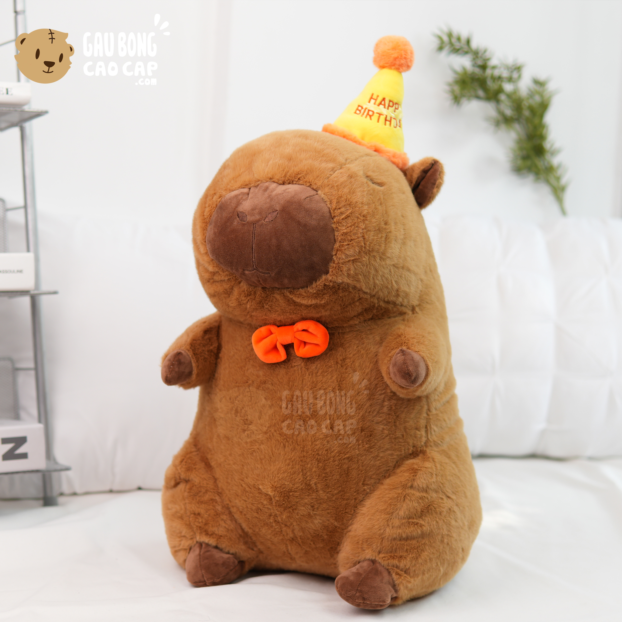 Chuột Bông Capybara đội nón Happy Birthday