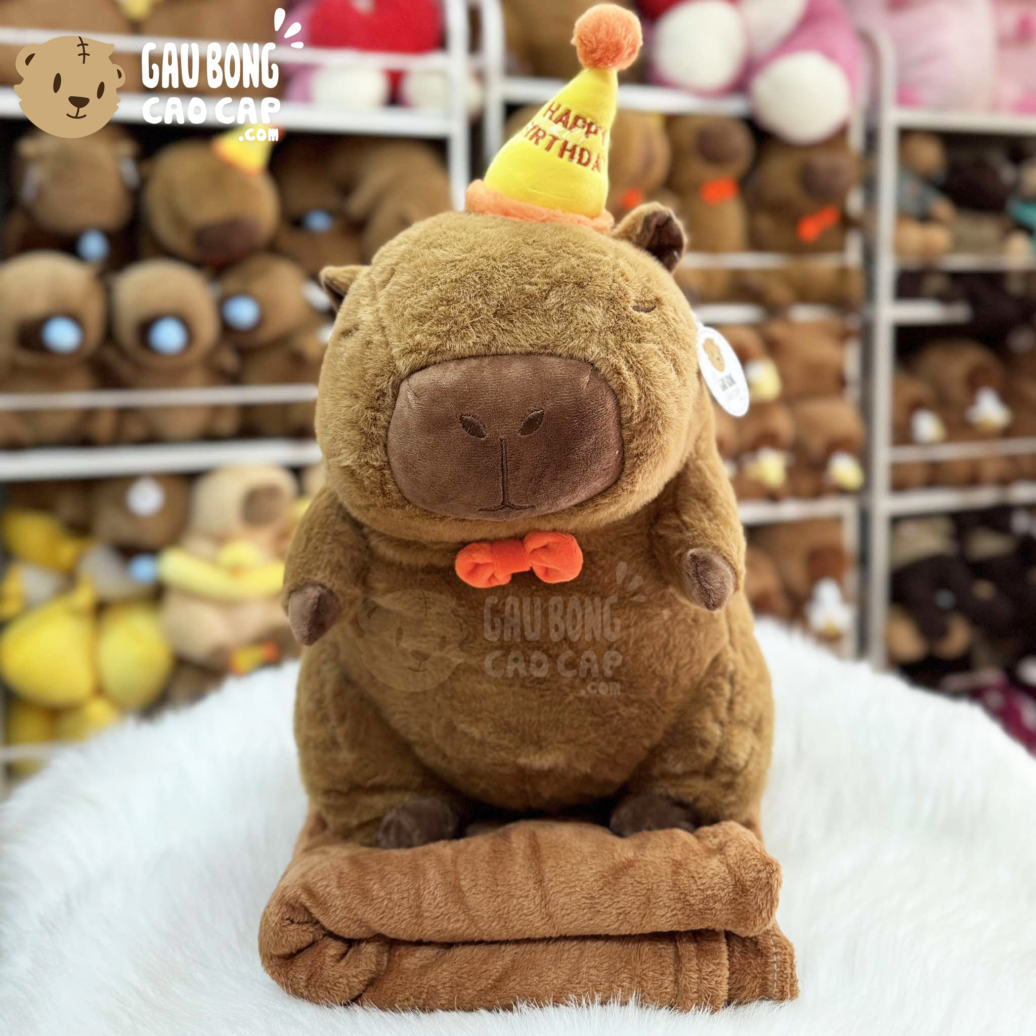 Gấu Bông Capybara đội nón Sinh Nhật có mền 2in1