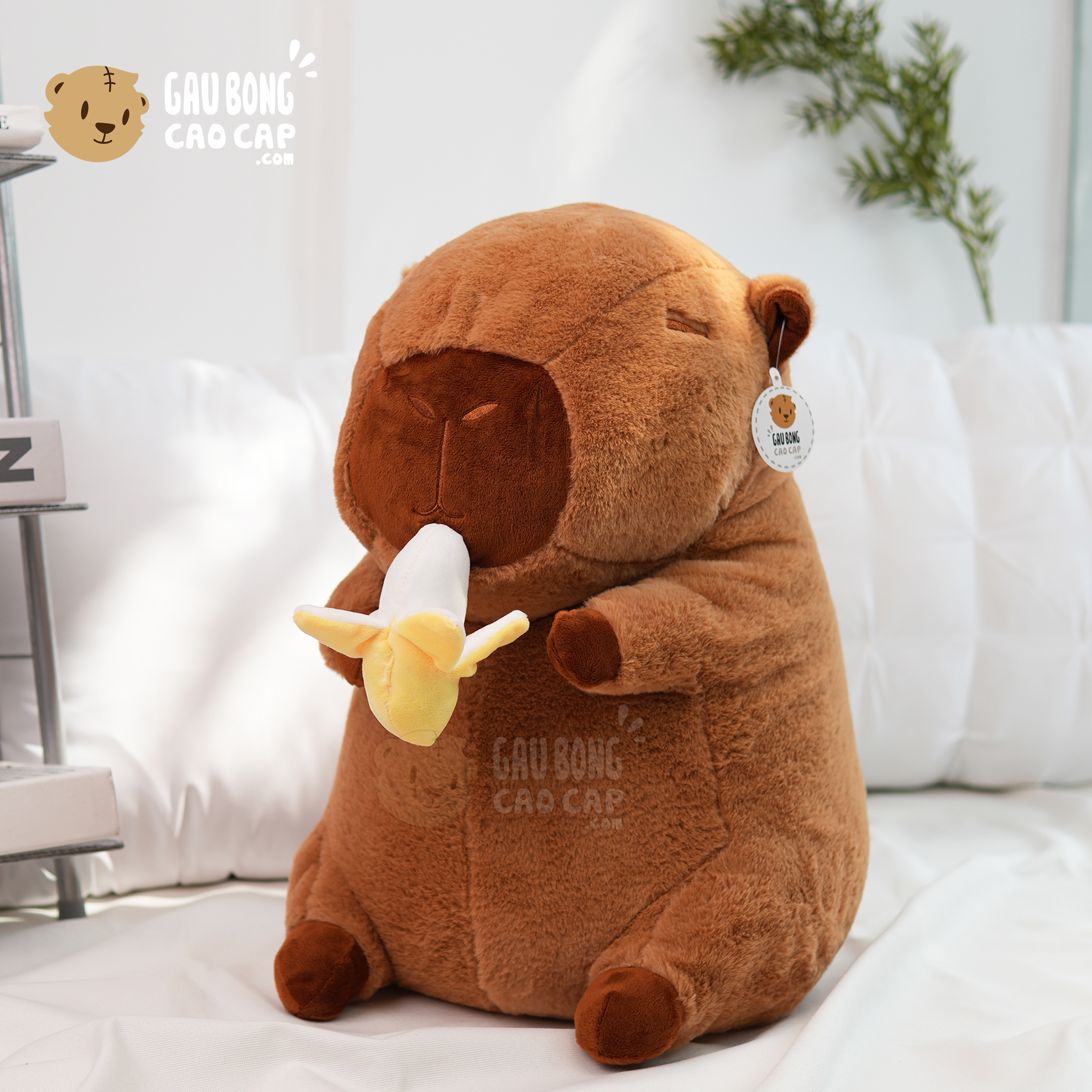 Gấu Bông Capybara rút chuối