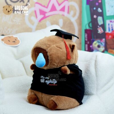 Gấu Bông Capybara Tốt Nghiệp chảy mũi