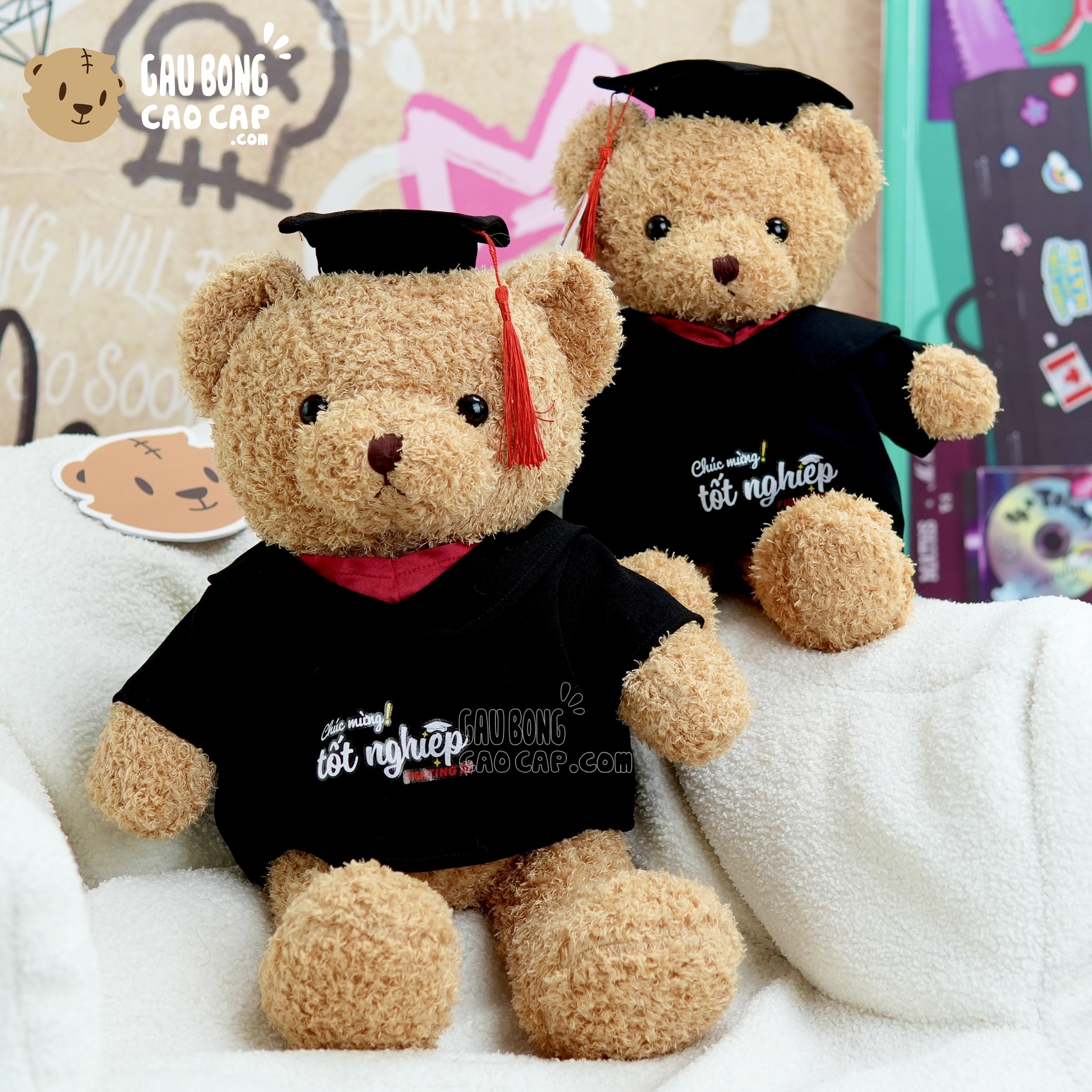 Gấu Bông Tốt Nghiệp - Gấu Teddy tốt nghiệp lông xù màu Vàng