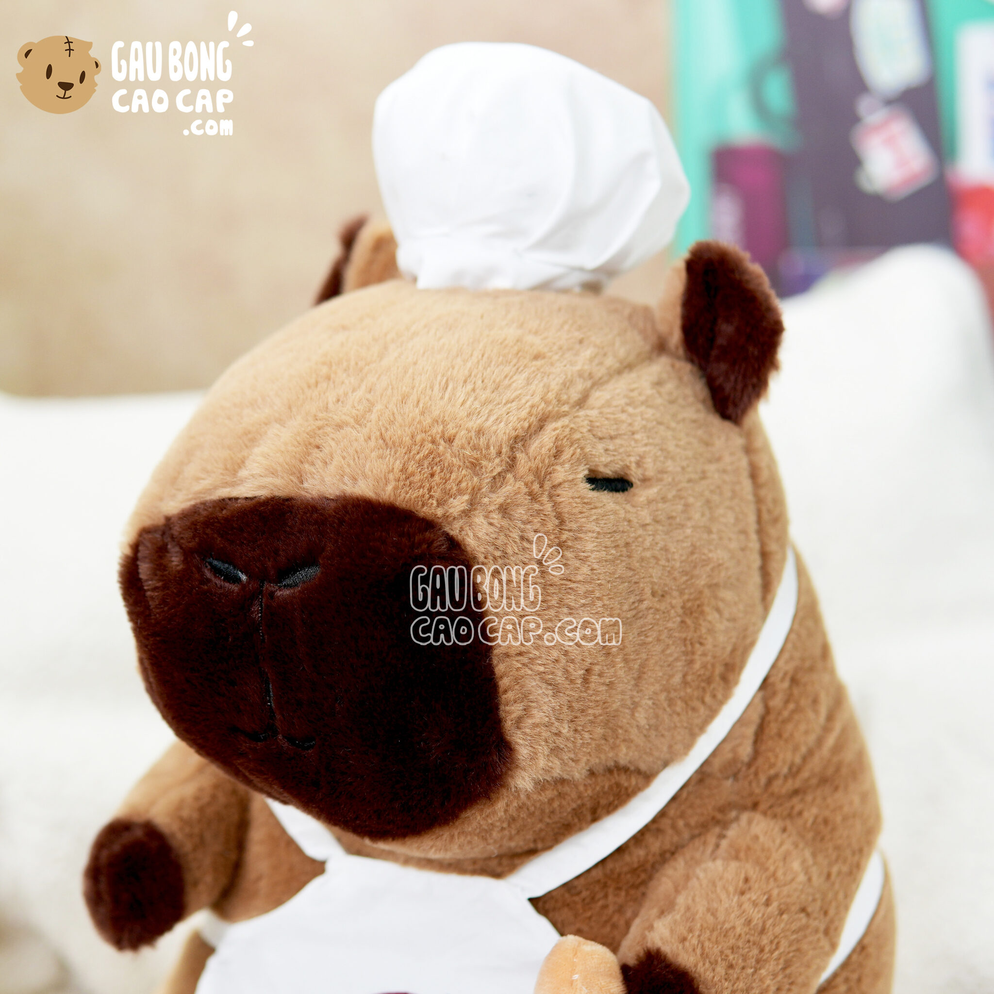 Gấu Bông Capybara đầu bếp