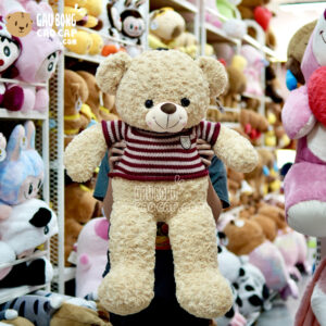 Gấu Teddy áo len cafe sữa