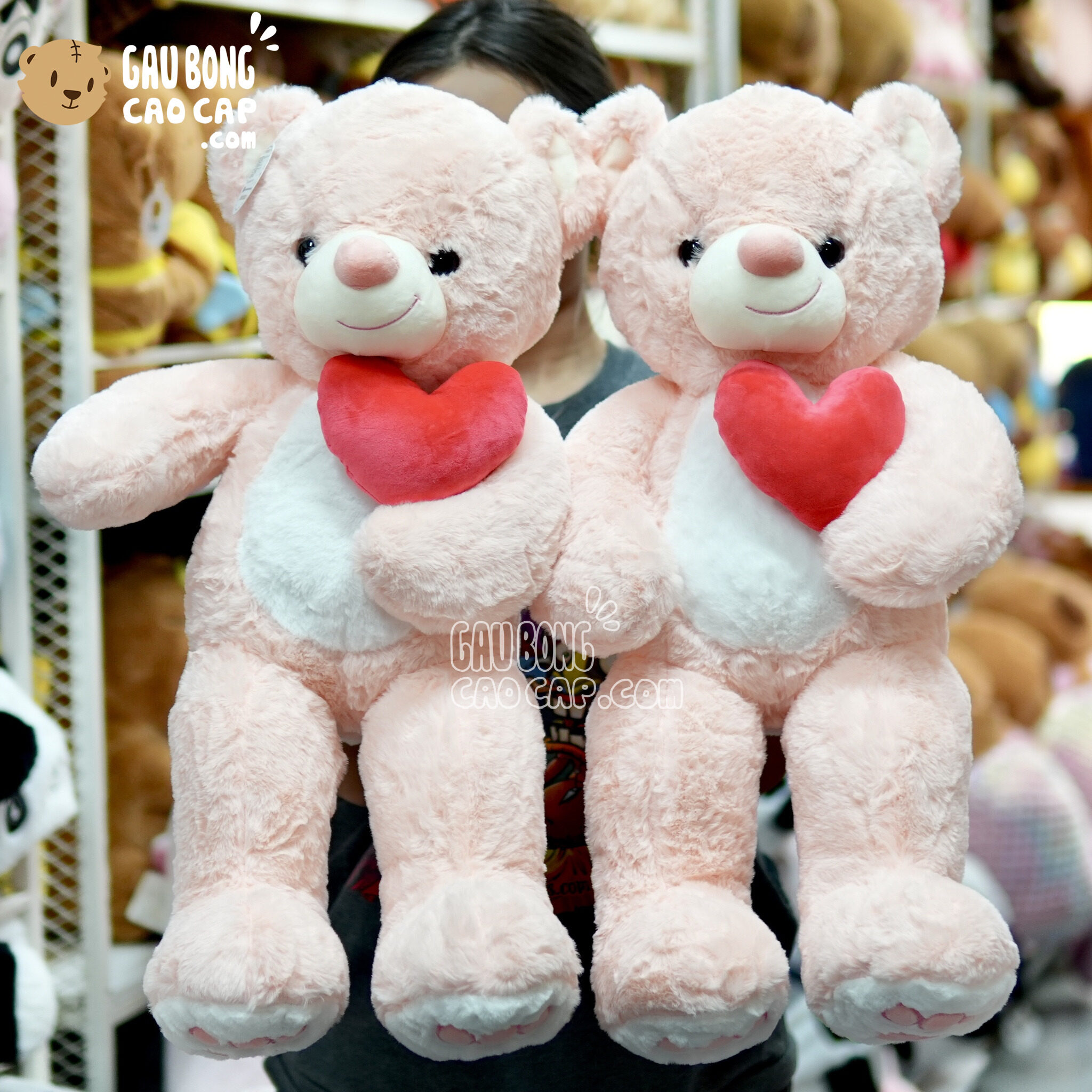 Gấu Teddy Smile ôm Tim