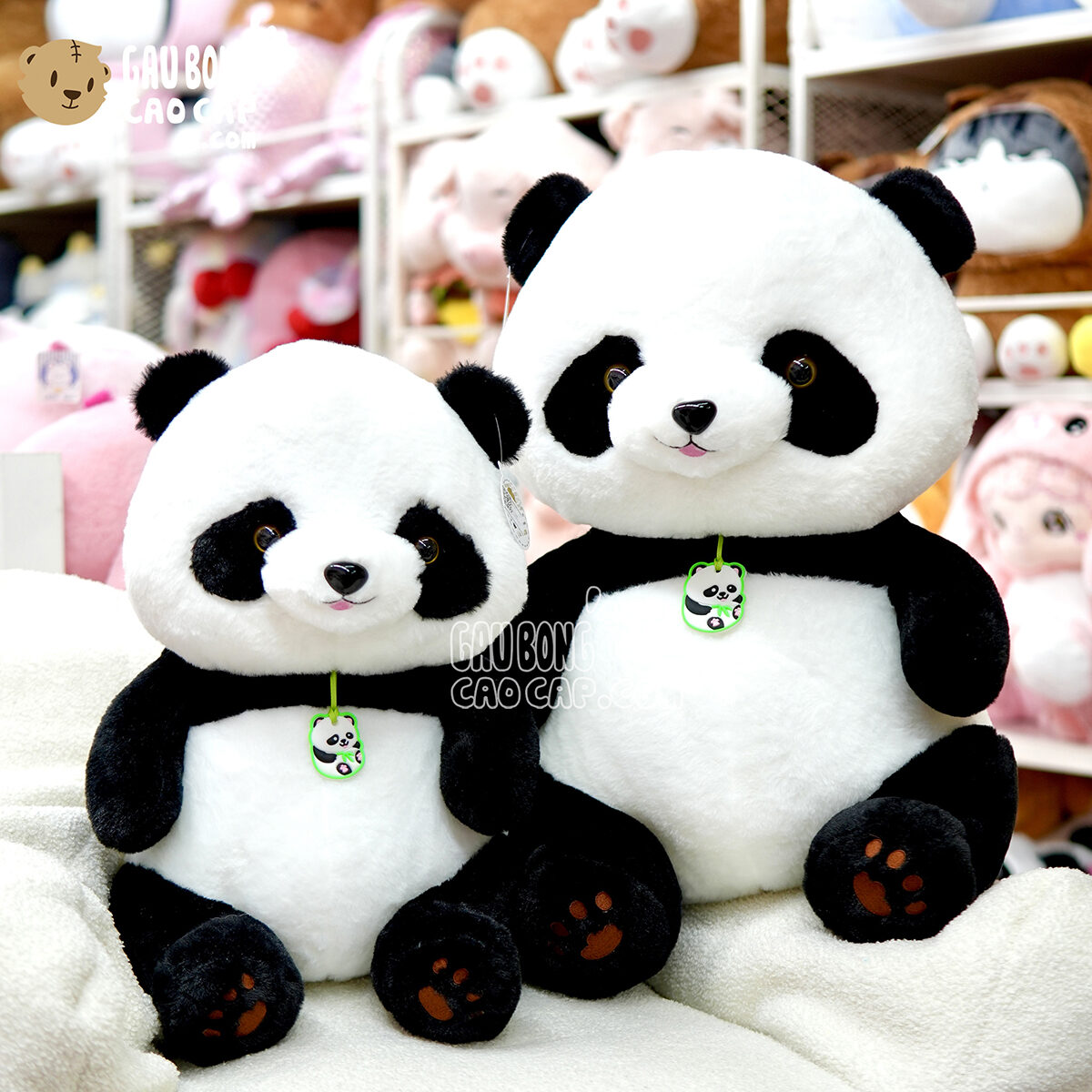Gấu Trúc Bông - Gấu Bông Panda