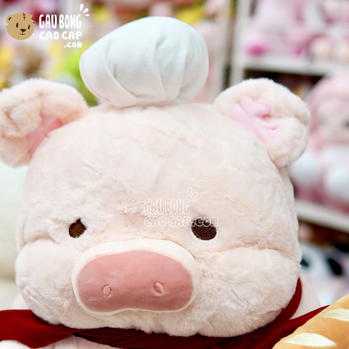 Heo Bông Lulu đầu bếp bánh mì