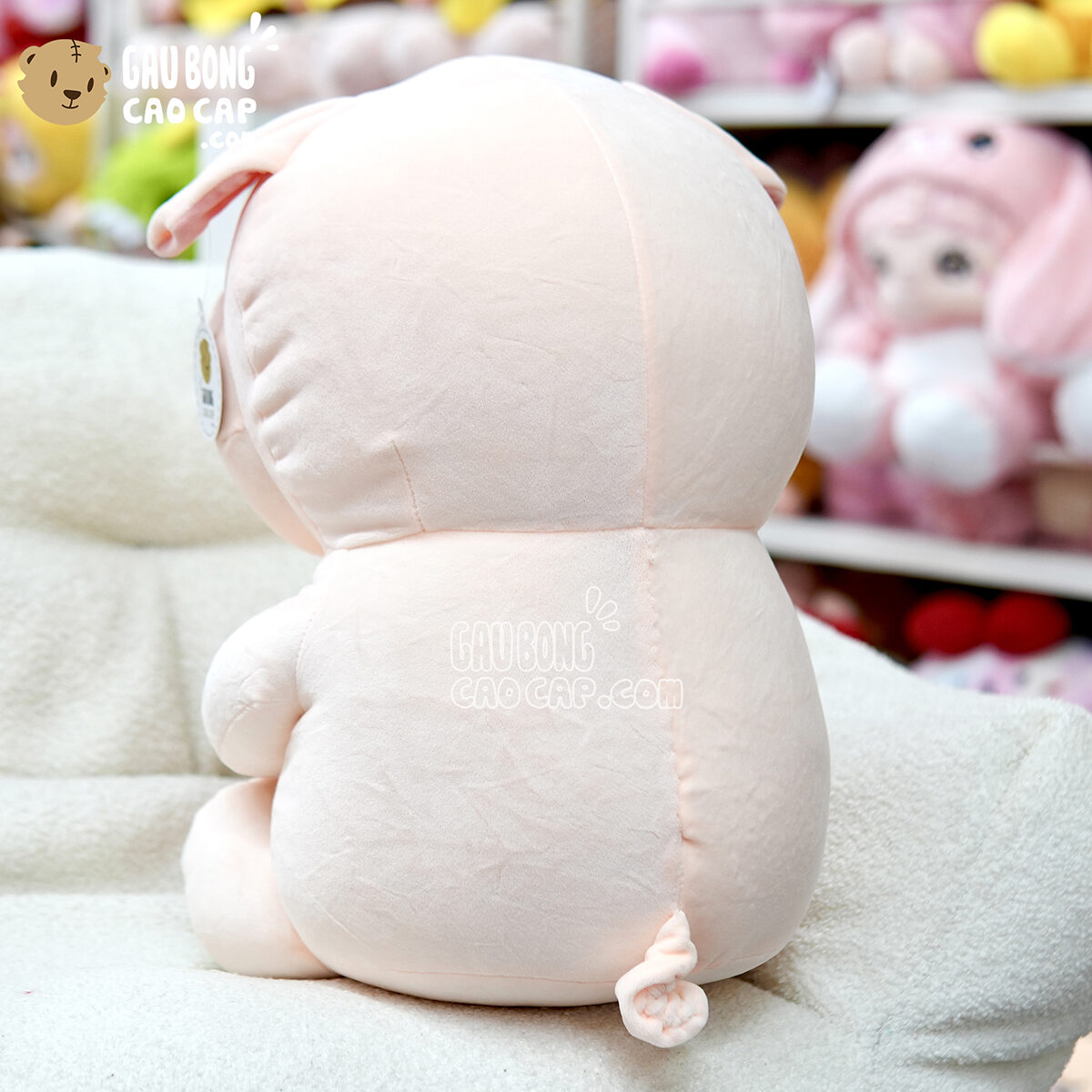 Heo Bông ôm Bình Sữa