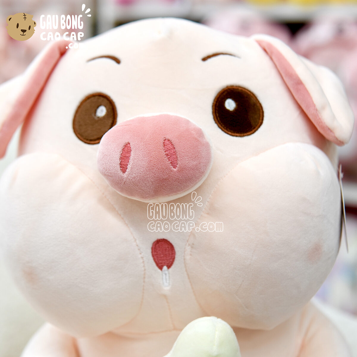 Heo Bông ôm Bình Sữa
