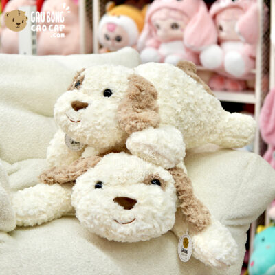 Chó Bông Poodle form nằm