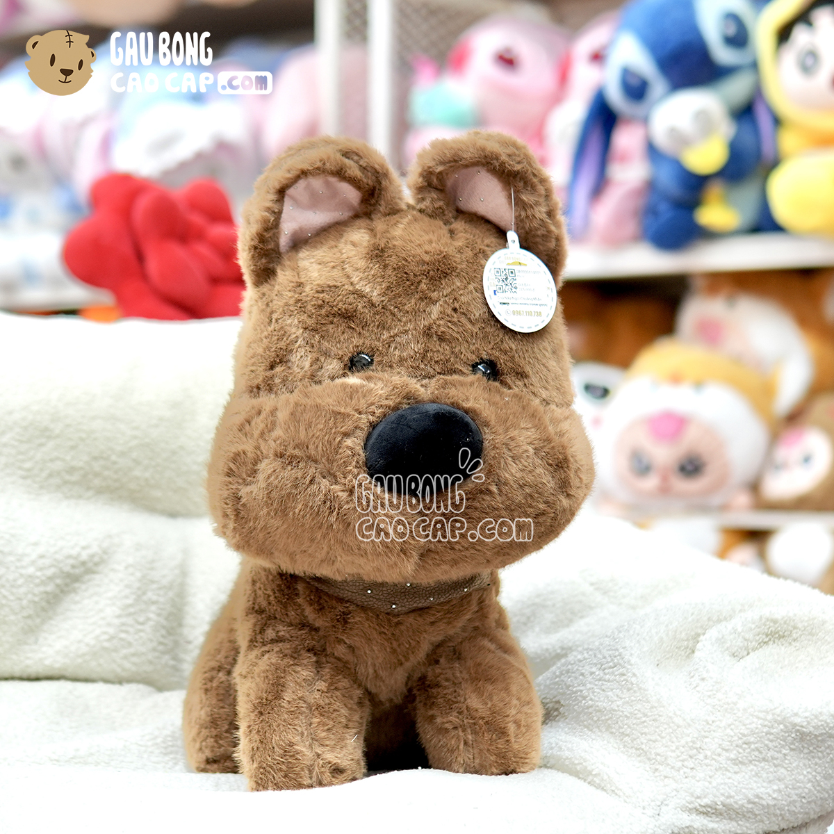 Chó Bông Baby màu nâu