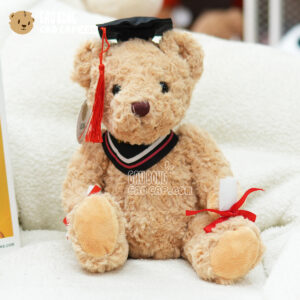 Gấu Teddy Tốt Nghiệp Congratulations lông xoắn