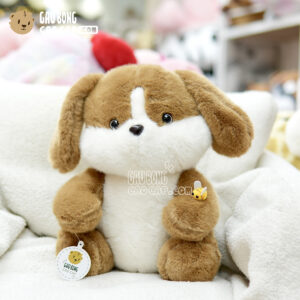 Chó Bông Baby tài dài lông Smooth