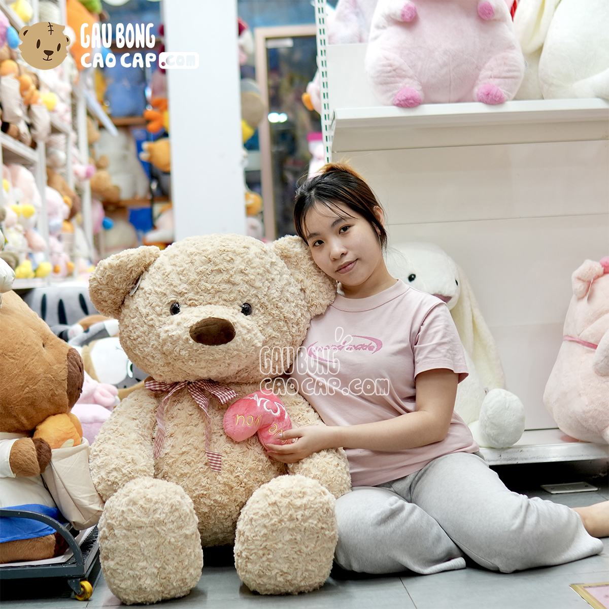 Gấu Teddy lông xoắn ngực Tim Rút