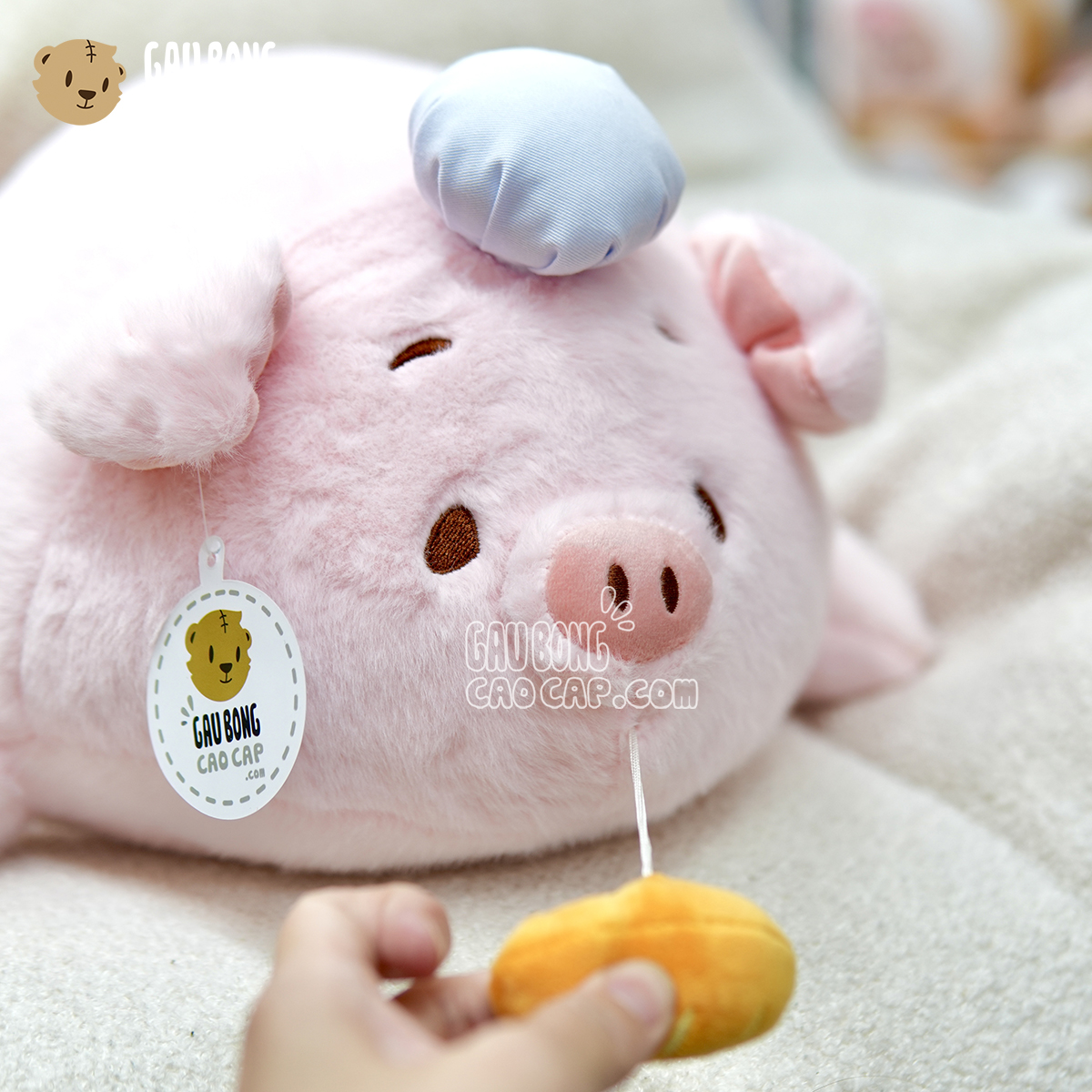 Heo Bông đầu bếp rút Bánh Mì
