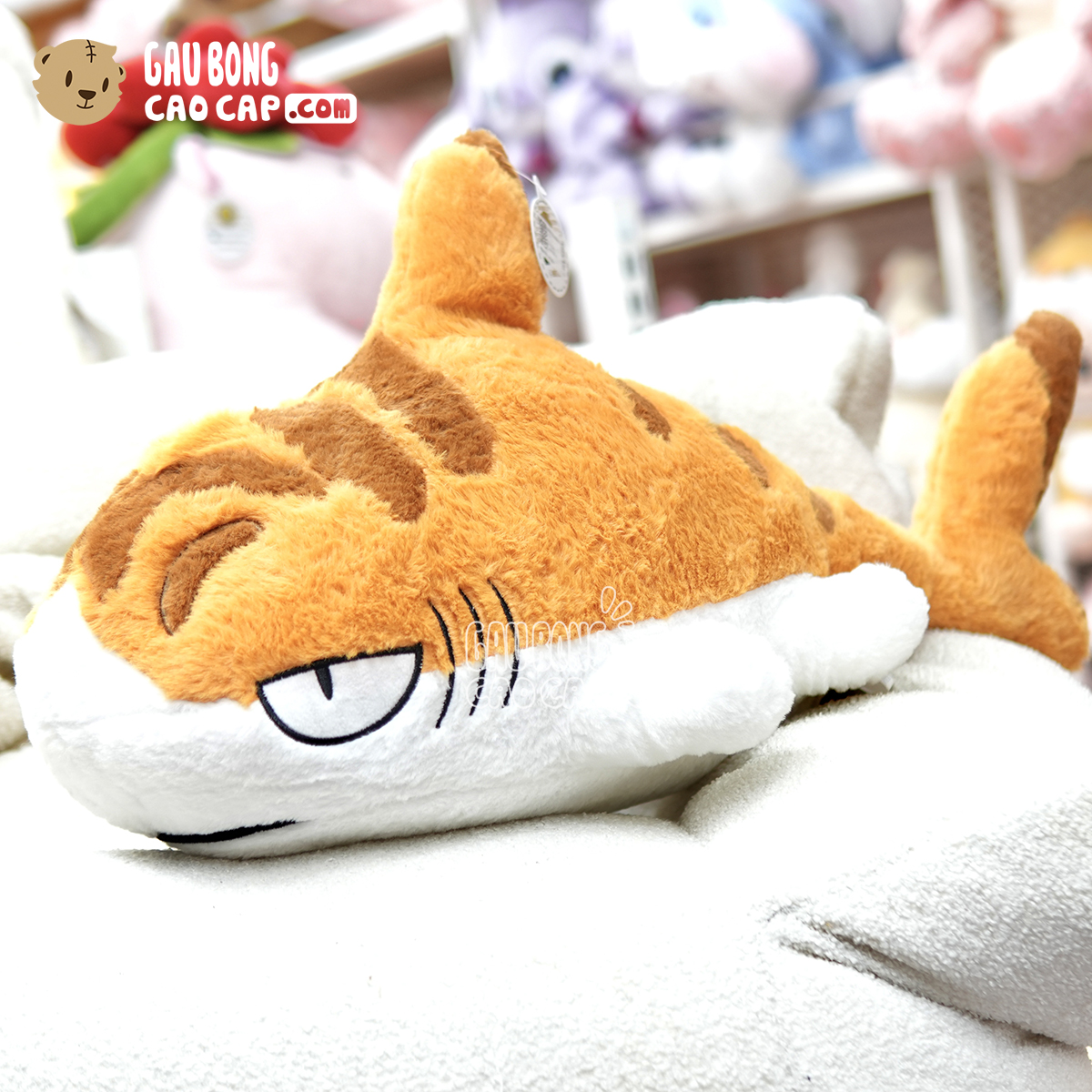Cá Mập Bông cosplay mèo vàng
