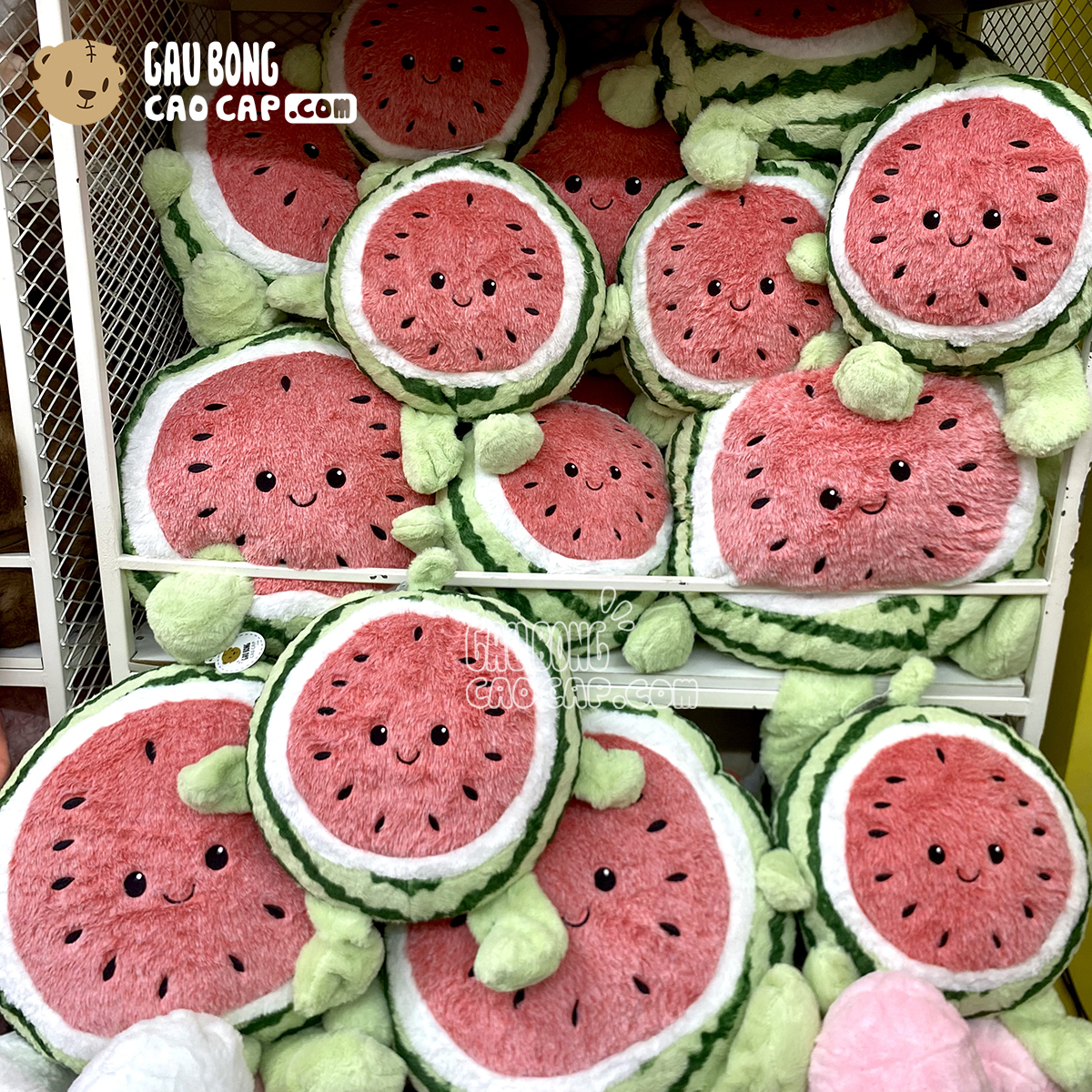 Gấu Bông Dưa Hấu tròn