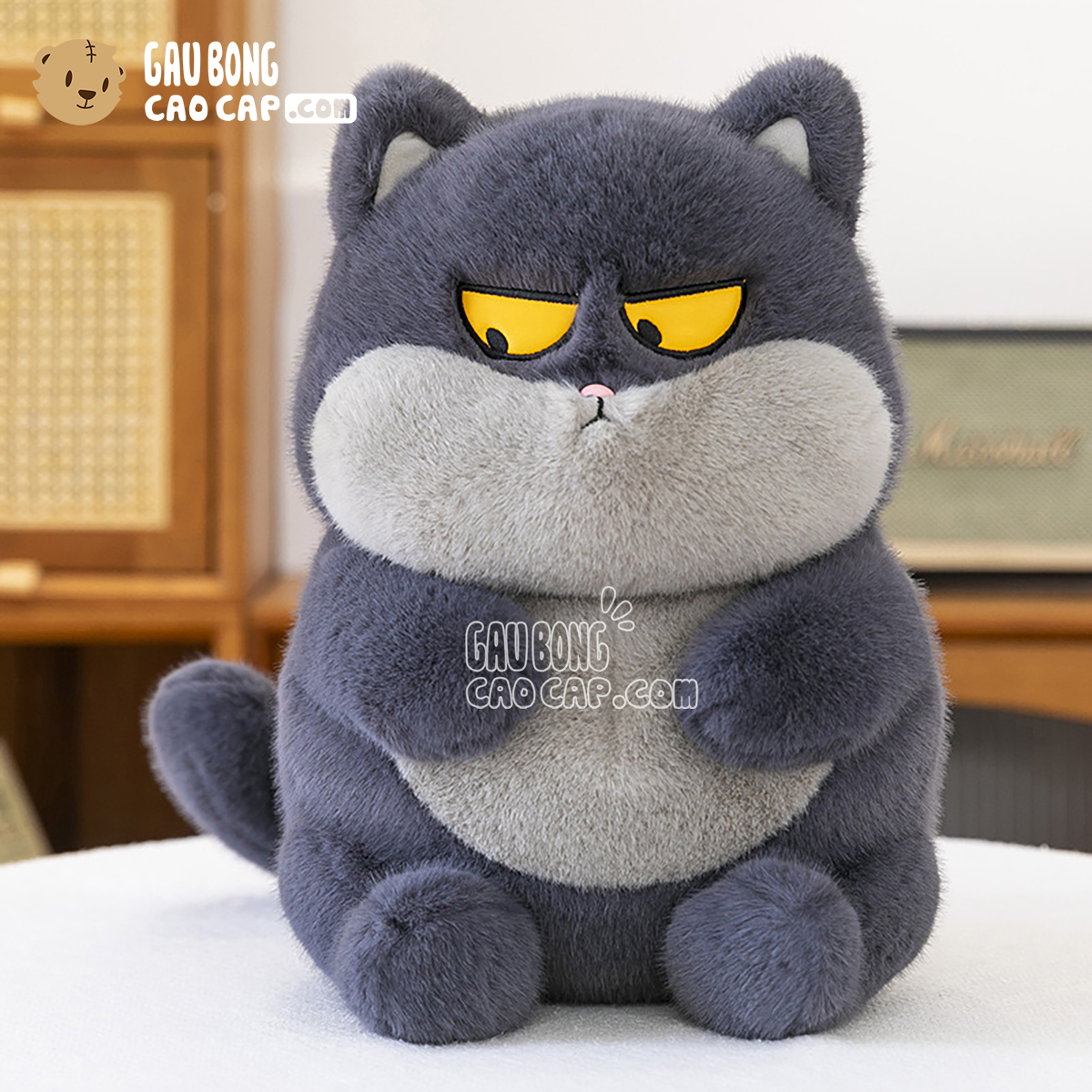 Mèo Bông Ú Baby mặt Quạo