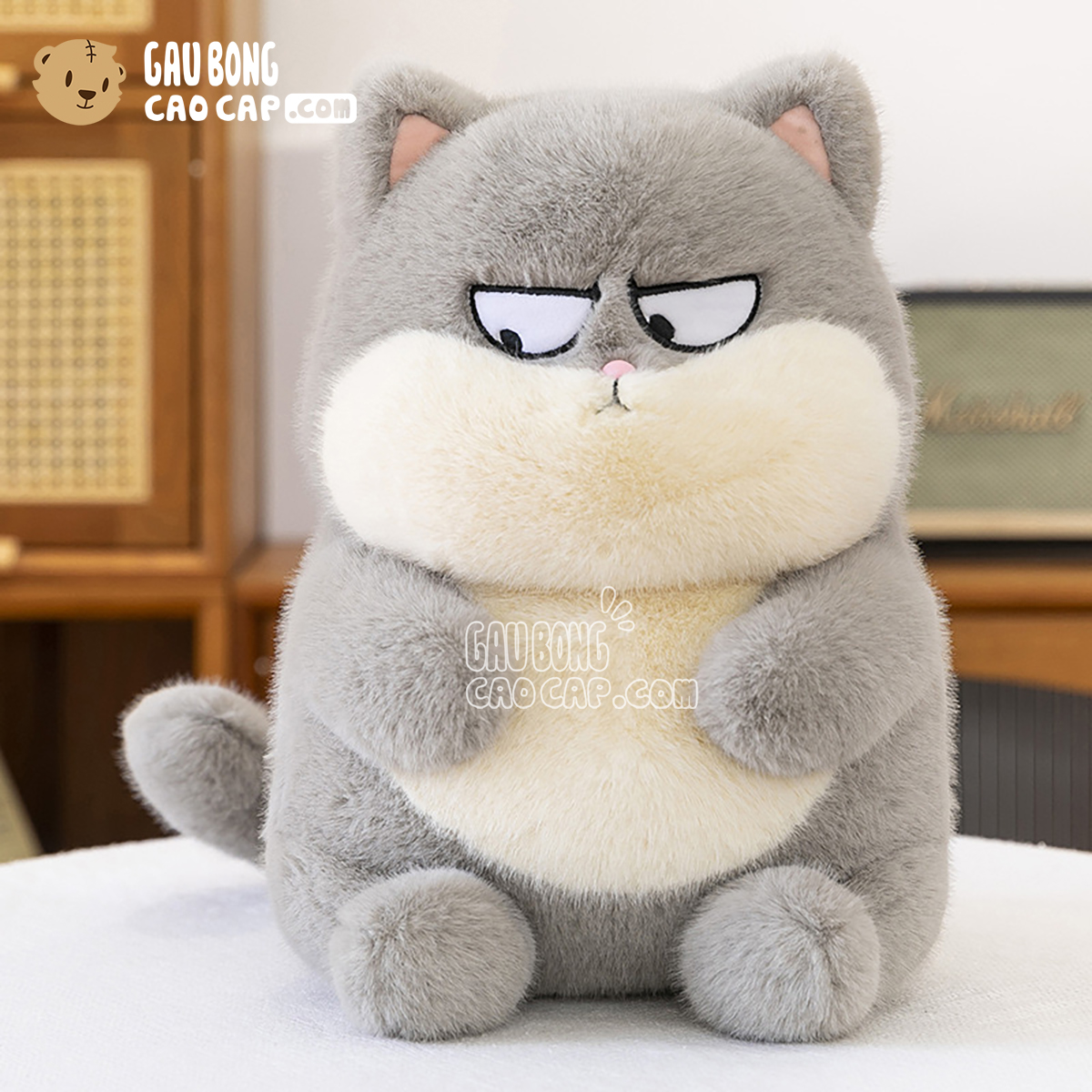 Mèo Bông Ú Baby mặt Quạo