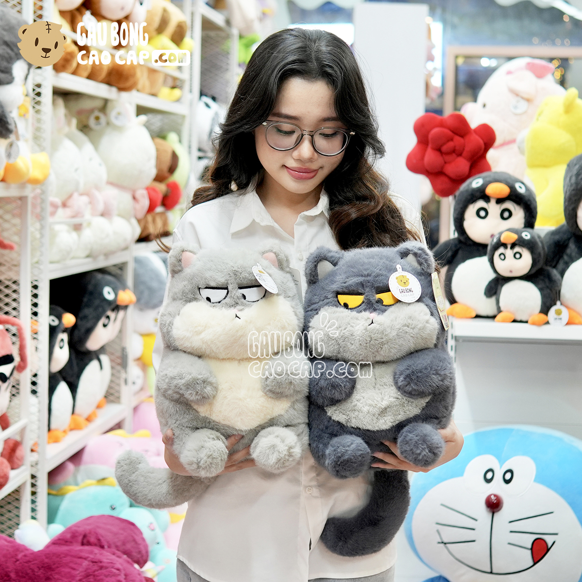 Mèo Bông Ú Baby mặt Quạo