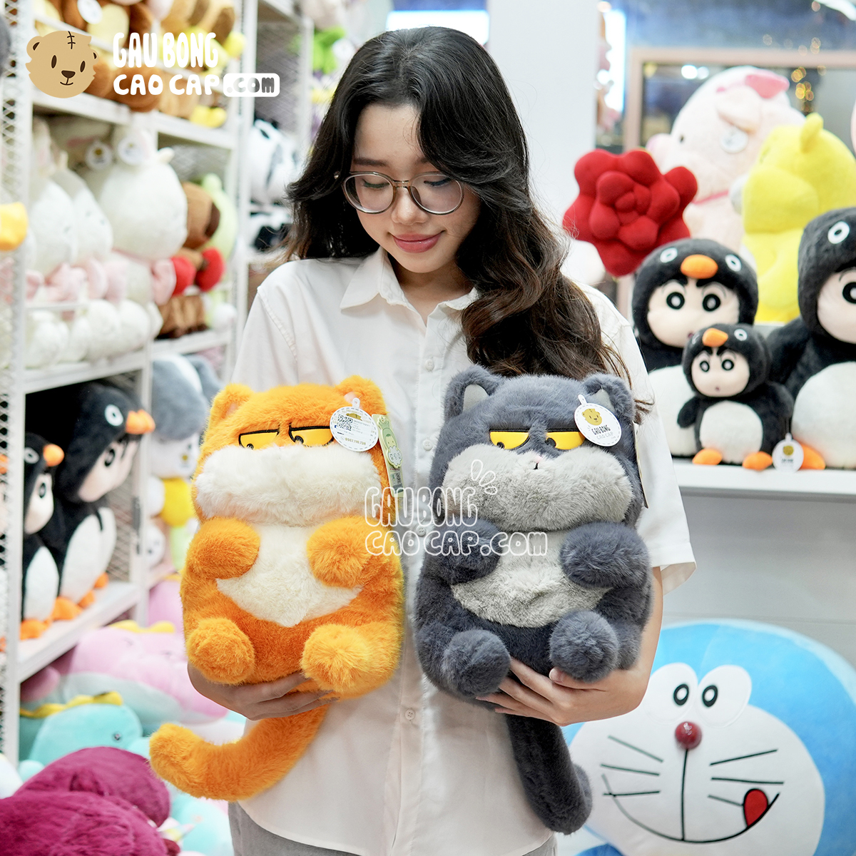 Mèo Bông Ú Baby mặt Quạo