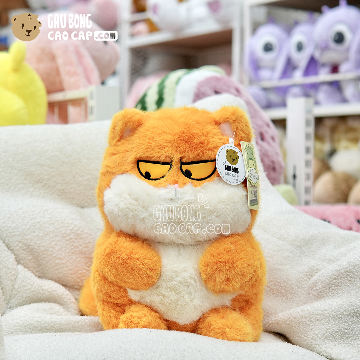 Mèo Bông Ú Baby mặt Quạo