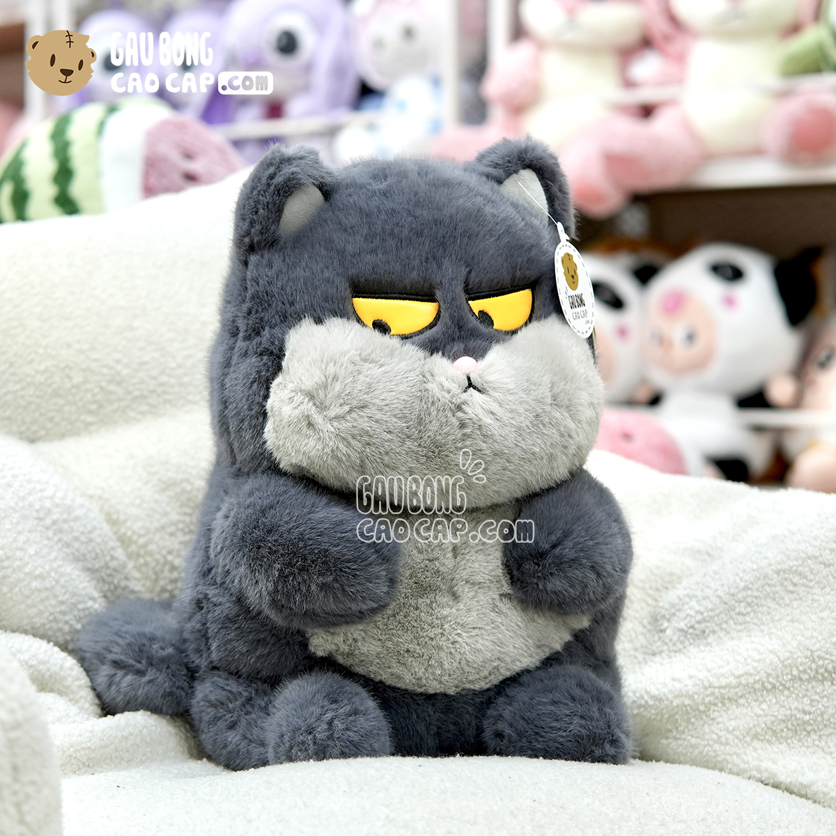 Mèo Bông Ú Baby mặt Quạo