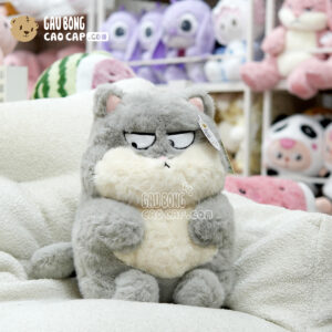 Mèo Bông Ú Baby mặt Quạo