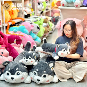 Chó Bông Husky má hình Trái Tim