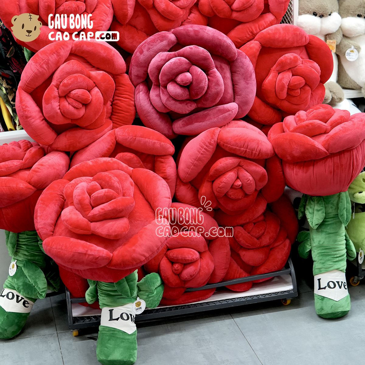 Gấu Bông Hoa Hồng Khổng Lồ