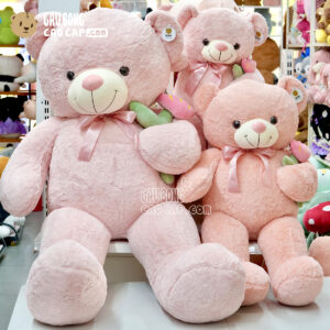 Gấu Teddy ôm Hoa lông mịn Smooth