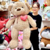 Gấu Teddy Lông Xoắn Ngực Tim rút