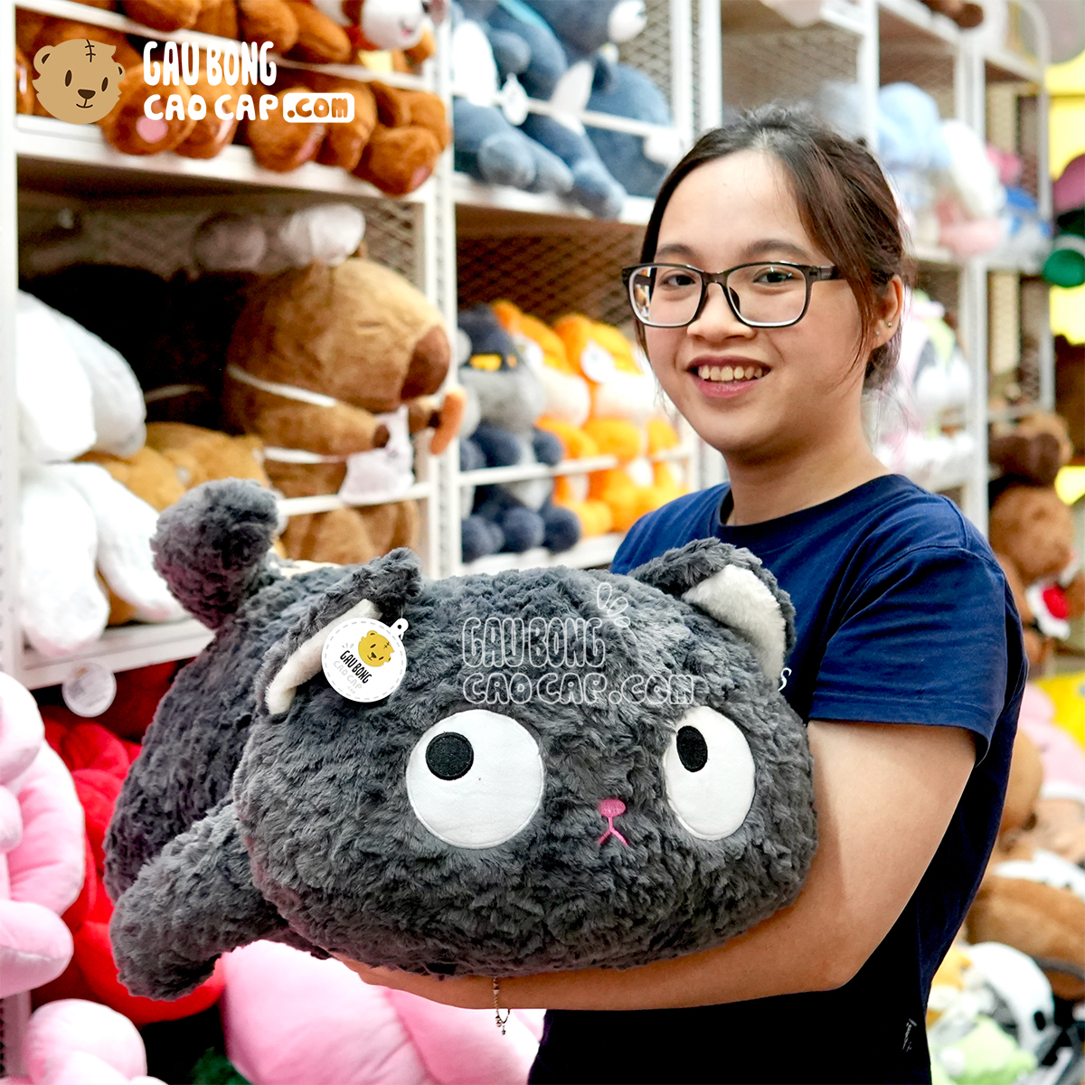 Mèo Bông Xám form nằm biểu cảm Giận