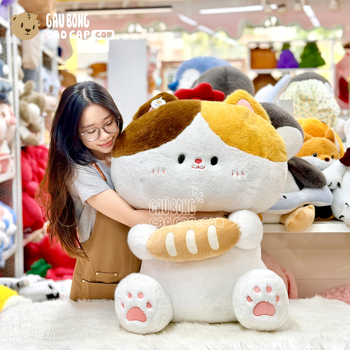 Mèo Bông Tam Thể cầm Bánh Mì