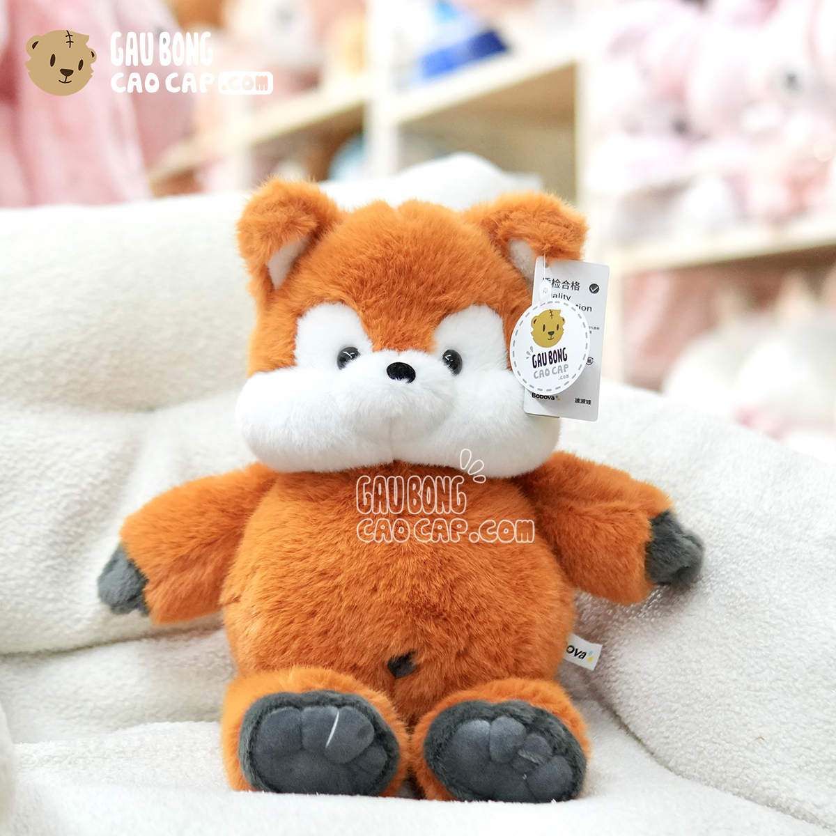 Cáo Gấu Bông lông Smooth