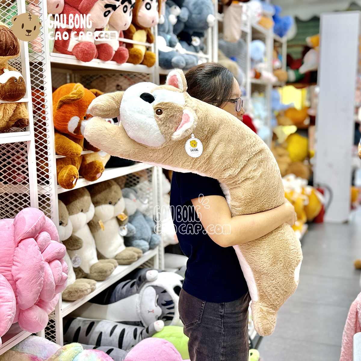 Chó Bông Mông Tim nằm gối ôm dài