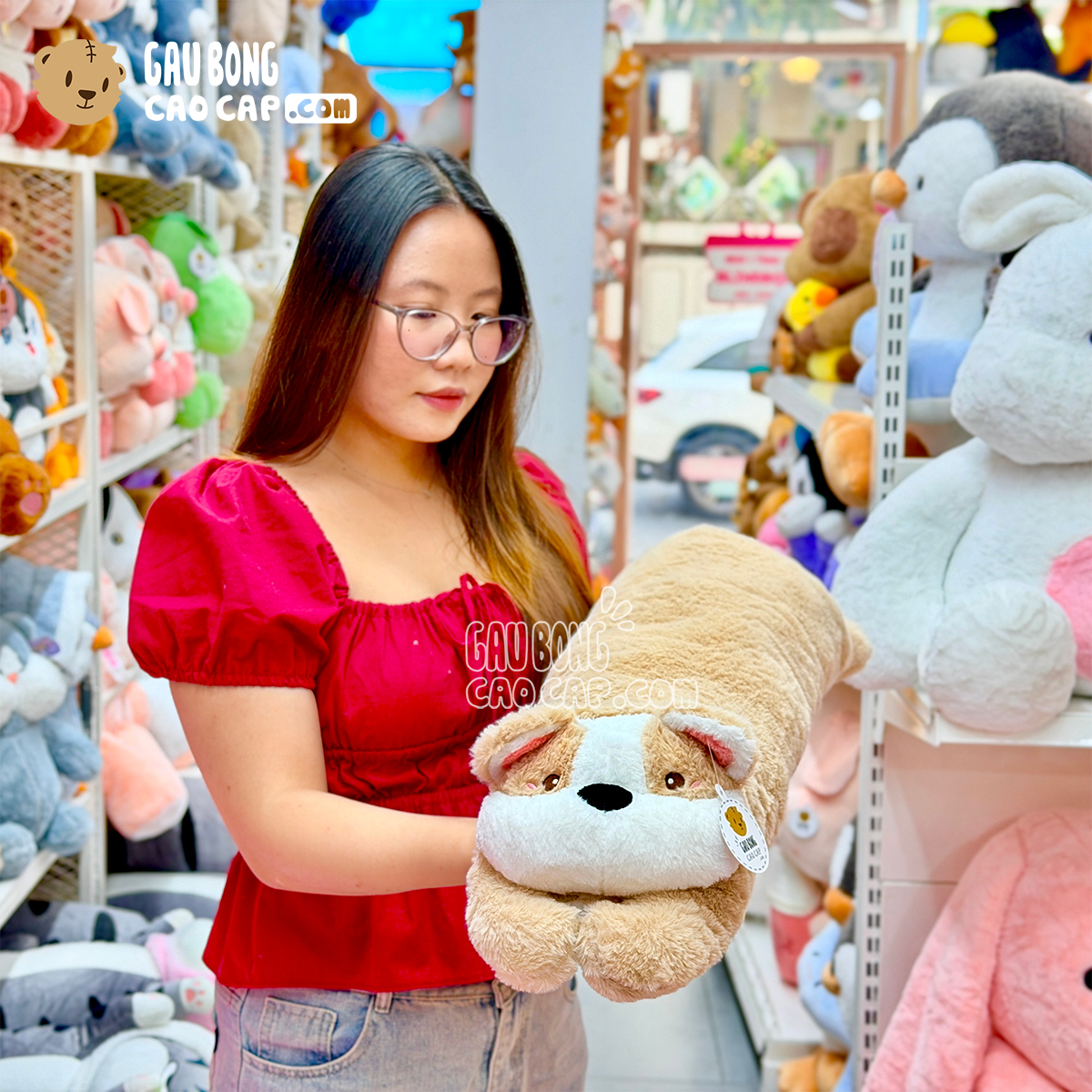 Chó Bông Mông Tim nằm gối ôm dài