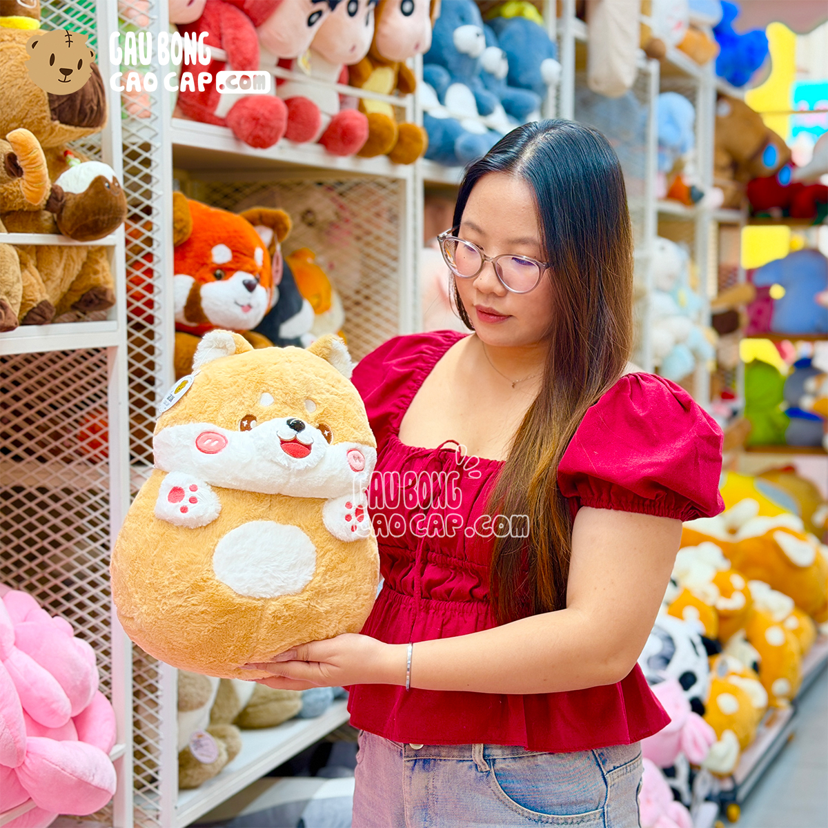 Chó Bông Shiba Baby tròn mũm mĩm