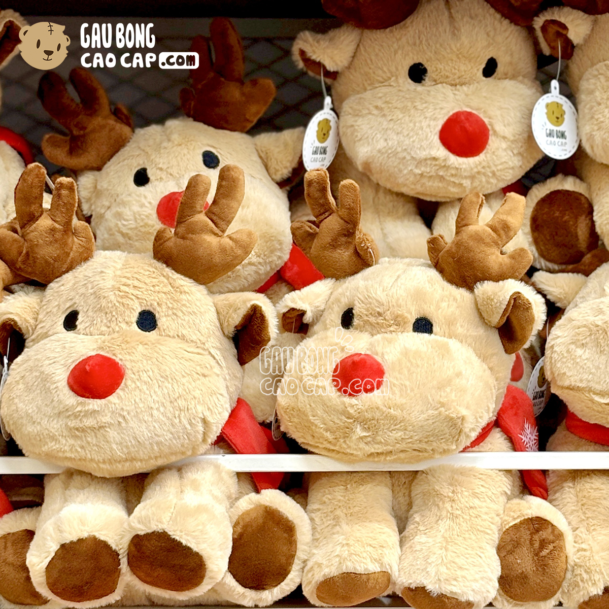 Gấu Bông Tuần Lộc Noel choàng khăn đỏ