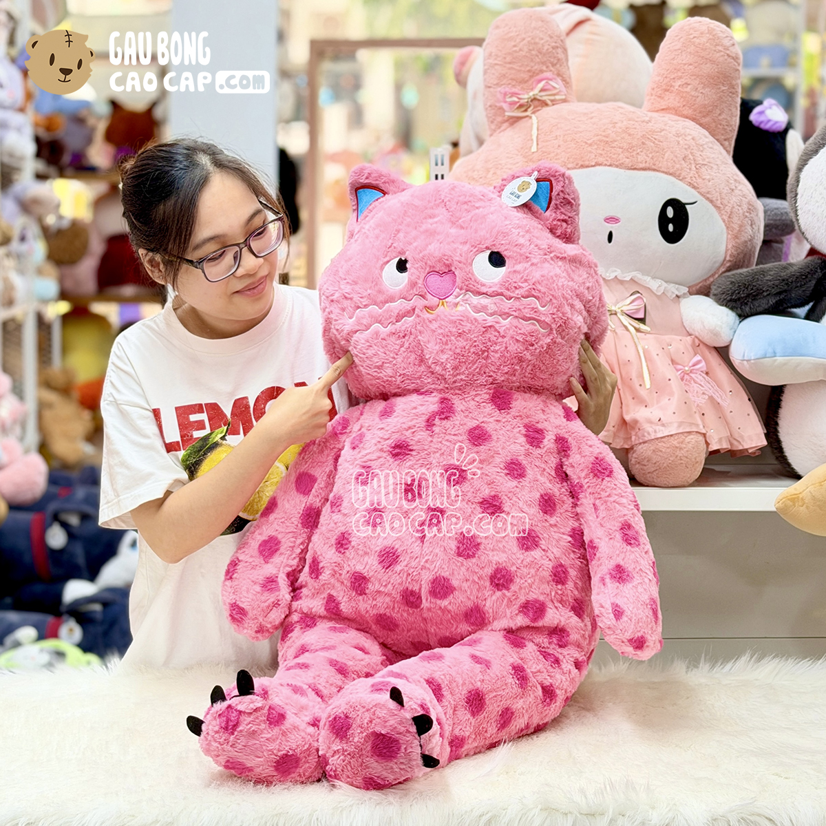 Mèo Bông Hồng chấm bi mắt Liếc