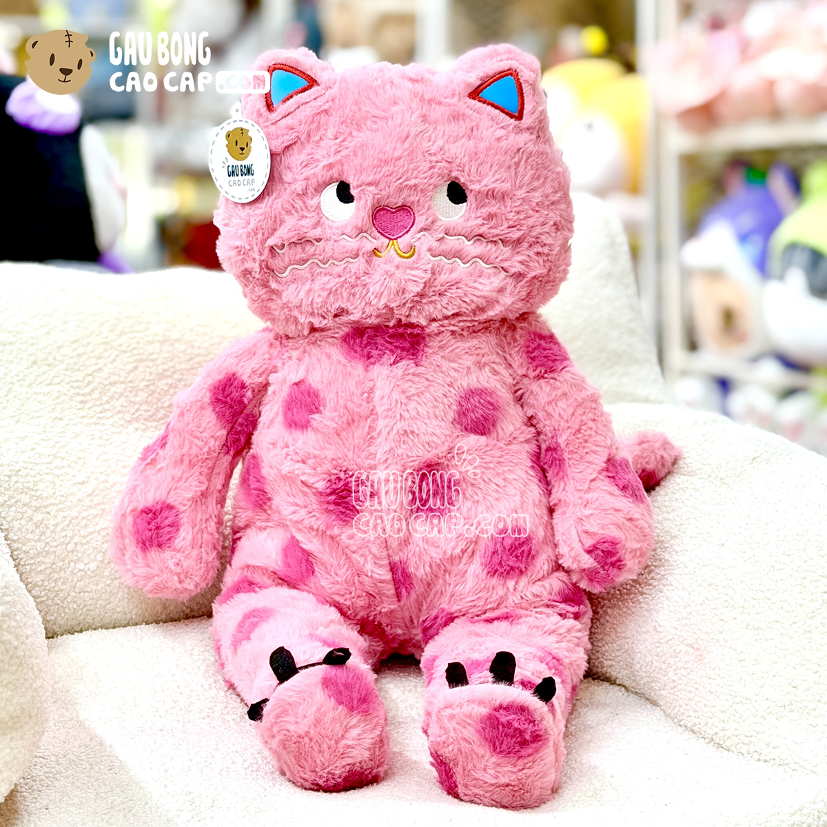 Mèo Bông Hồng chấm bi mắt Liếc