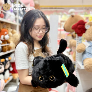 Meo Bông Mèo Mun đen Baby