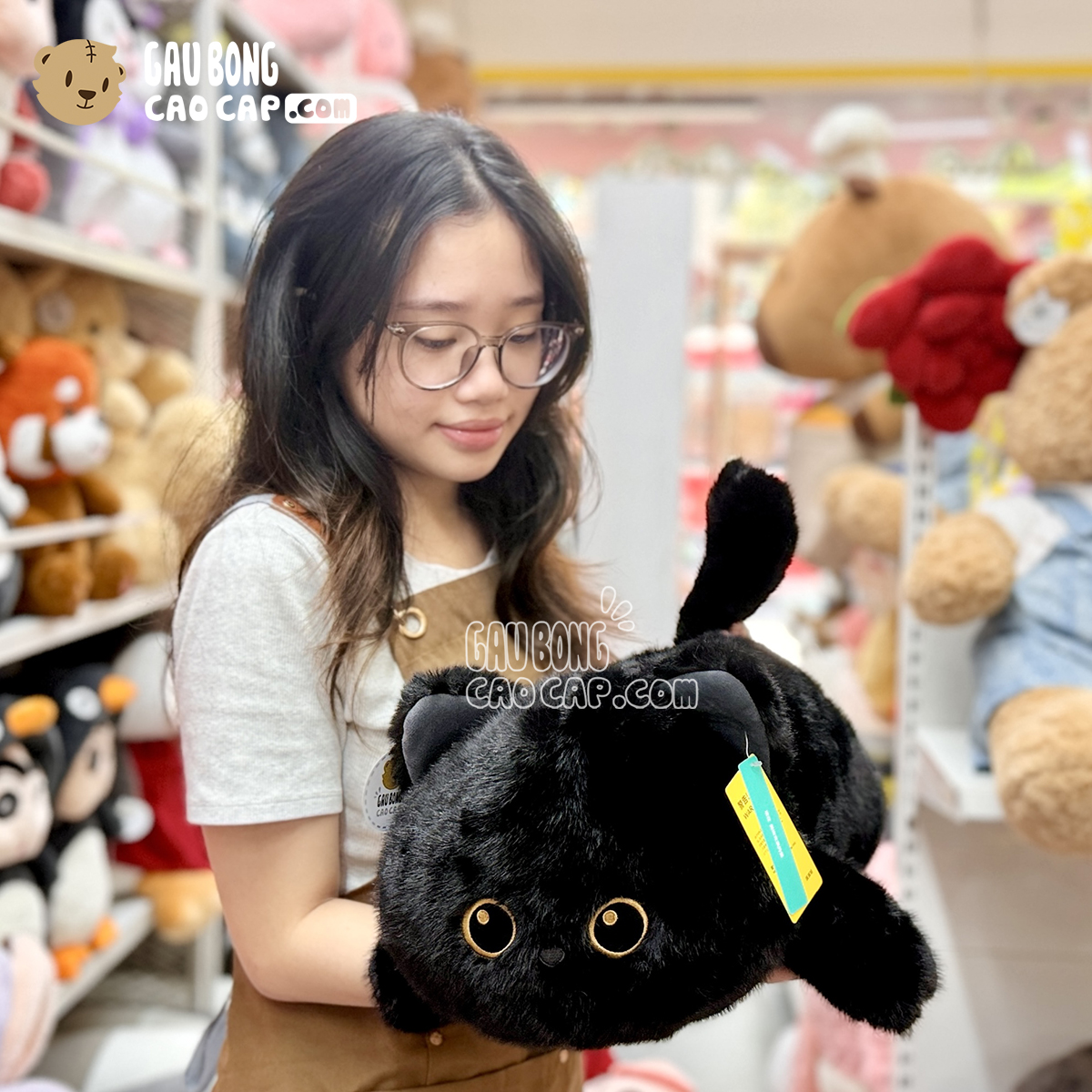 Meo Bông Mèo Mun đen Baby