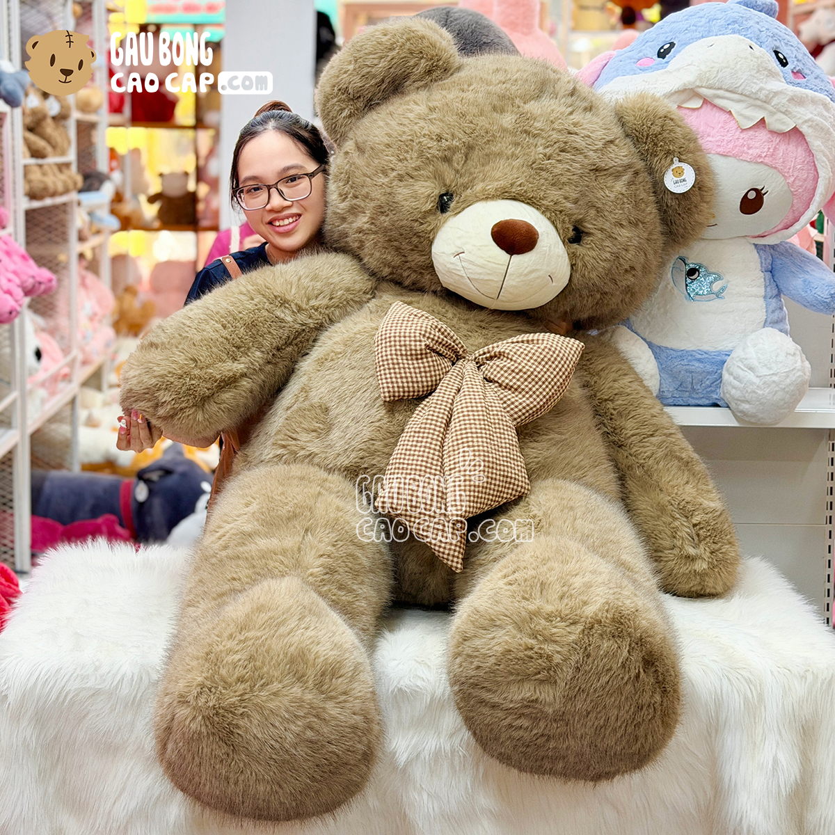 Gấu Bông Teddy lông chồn cao cấp