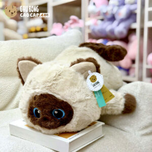 Mèo Bông Tuxedo Nằm mắt xanh ngọc