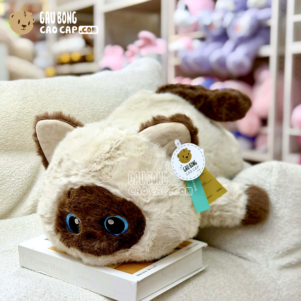 Mèo Bông Tuxedo Nằm mắt xanh ngọc