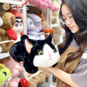 Mèo Bông Tuxedo Nằm