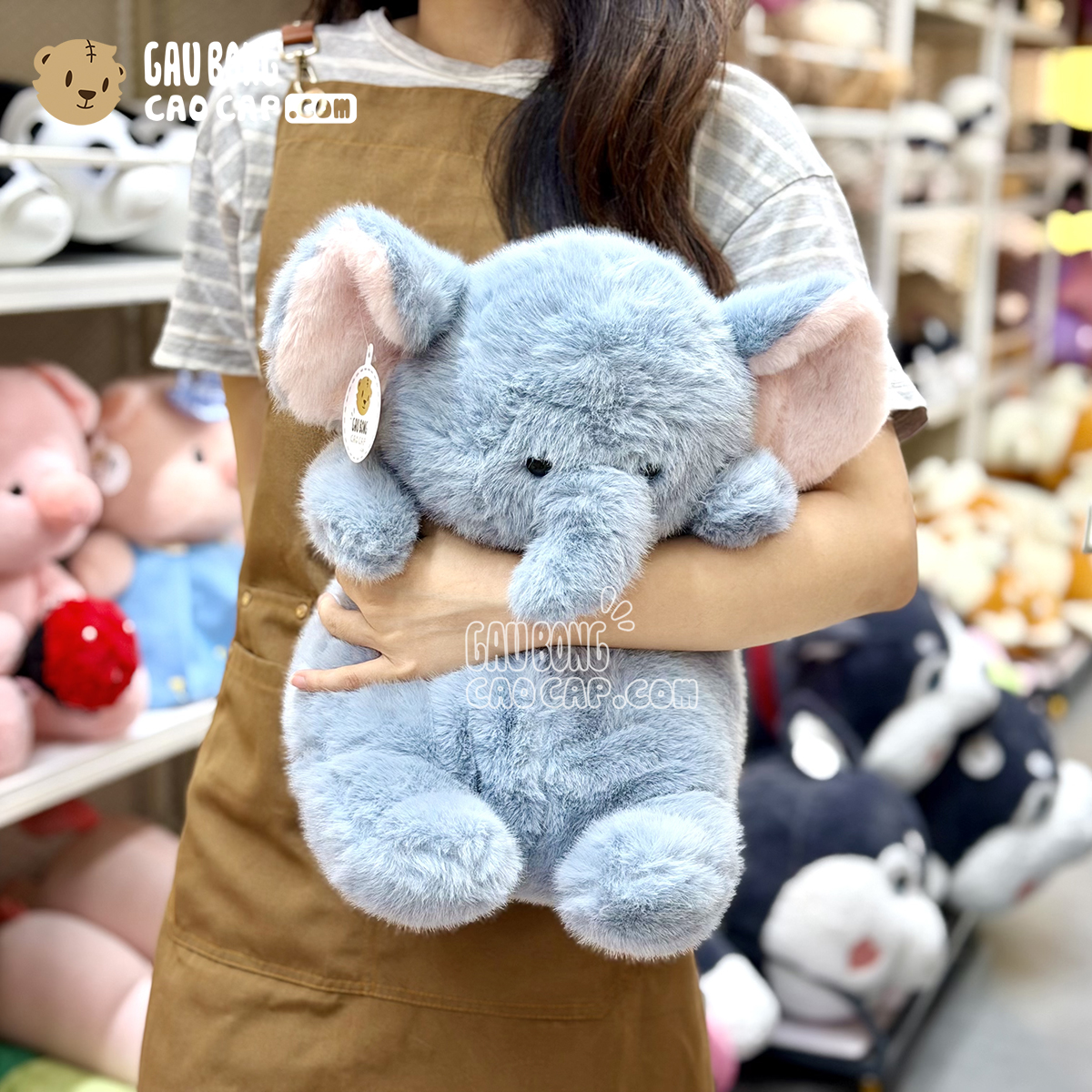 Voi Lông Smooth Bobova