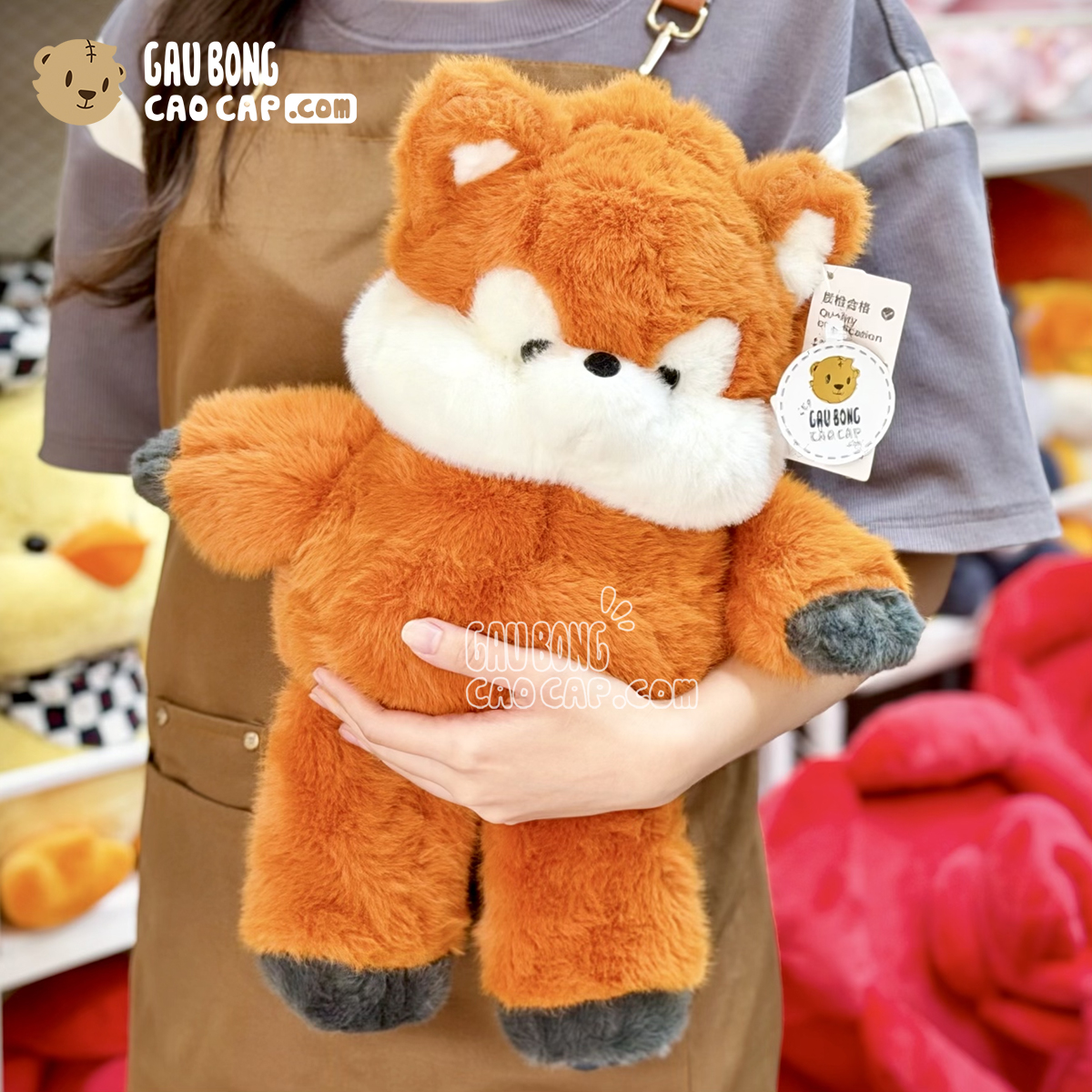 Cáo Bông biết chạy