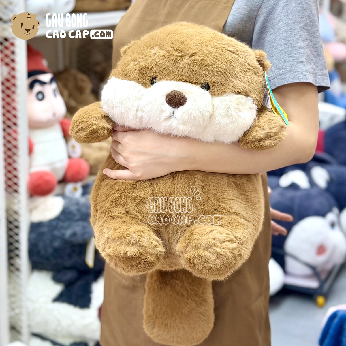 Gấu Bông Hải Ly Baby Lông Mịn Bobova