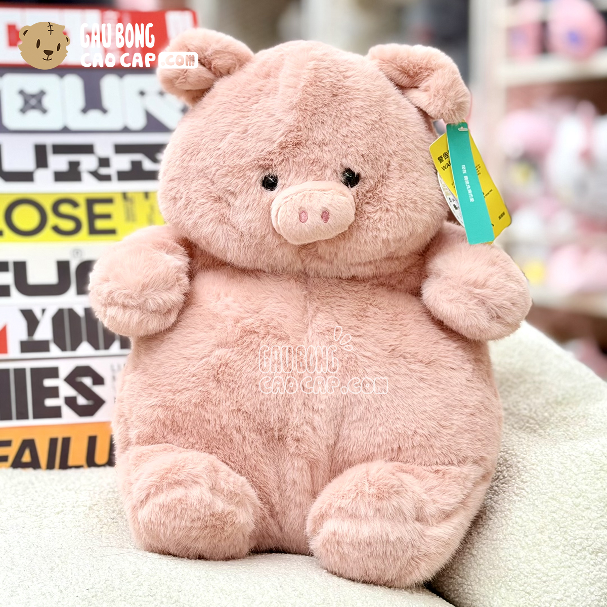 Heo Bông Baby Lông Mịn Bobova